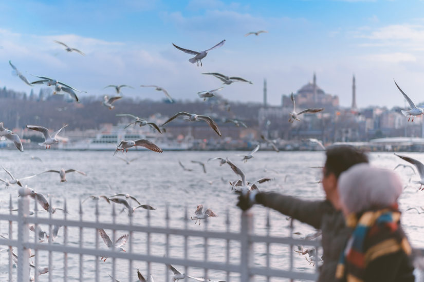 Istanbul photographers, Mohamed