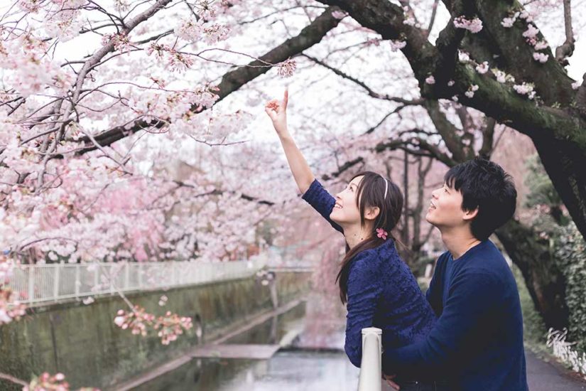 Tokyo photographers, Meg