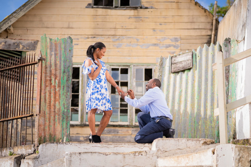 Kingston photographers, Fernandez